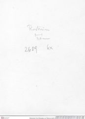 Historisches Foto (Rückseite) von Palinurus kuehni (NHMW-AFW-GEO-BACHMAYER-FOTO-1990-0041-2689)